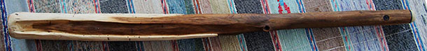 akátová didgerigoo