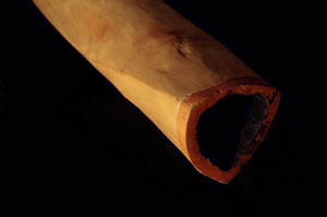 akátová didgeridoo