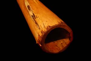 javorová didgeridoo